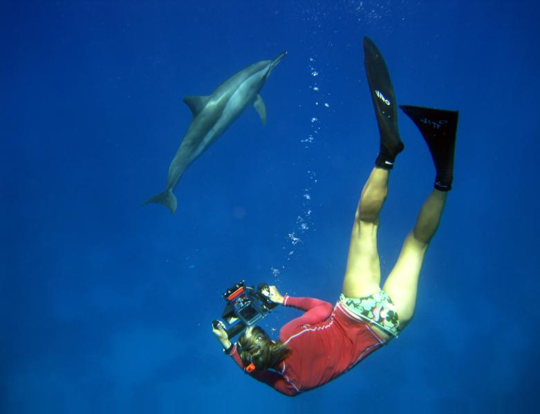 Patty che fotografa delfini (Mar Rosso - Egitto)