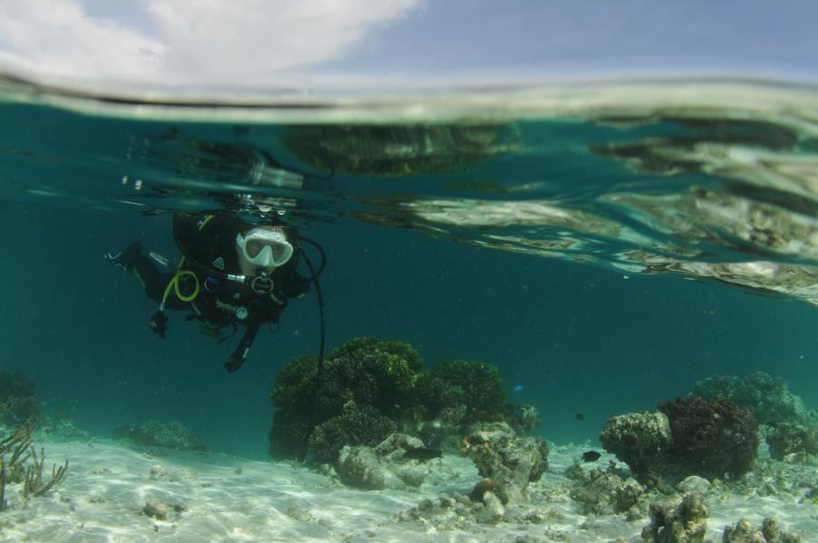 Subacqueo in acqua bassa (Raja Ampat - Indonesia)