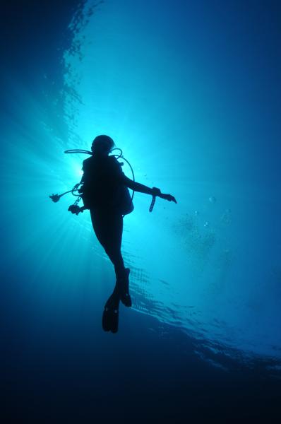 My dive-buddy