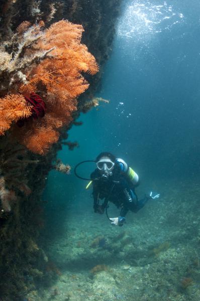 Sub in «The Passage» (Raja Ampat - Indonesia)