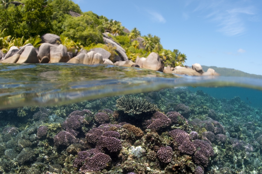 L'isola di Felicité, sottosopra (Seychelles)