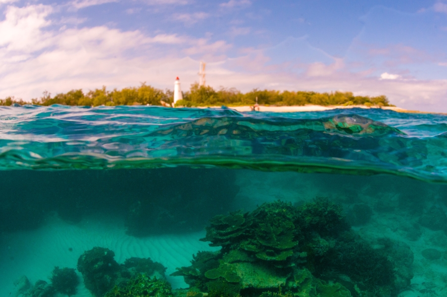 Splitshot barriera corallina e faro (Lady Elliot Island - Australia)