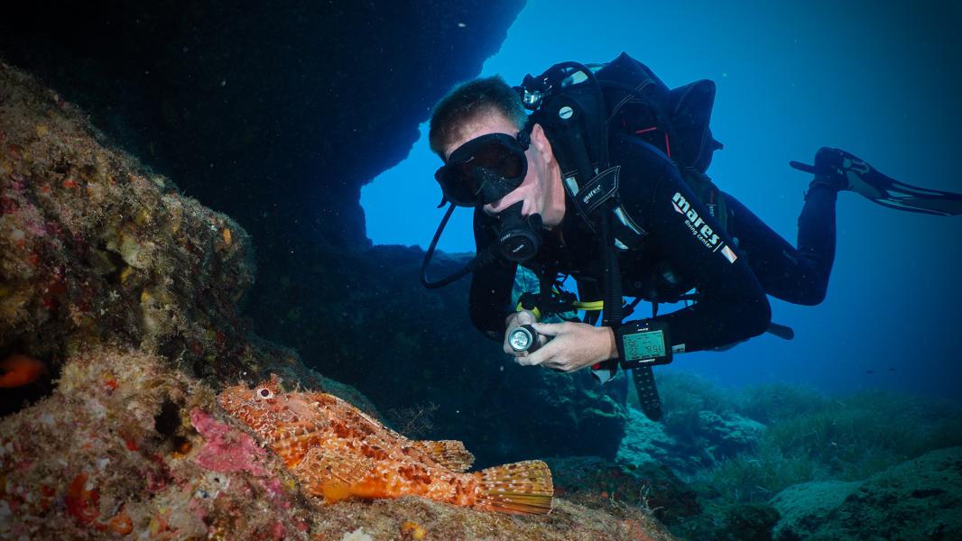 Io sott'acqua con scorfano (Lampedusa - Italia)